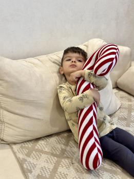 Декоративна подушка Тростина