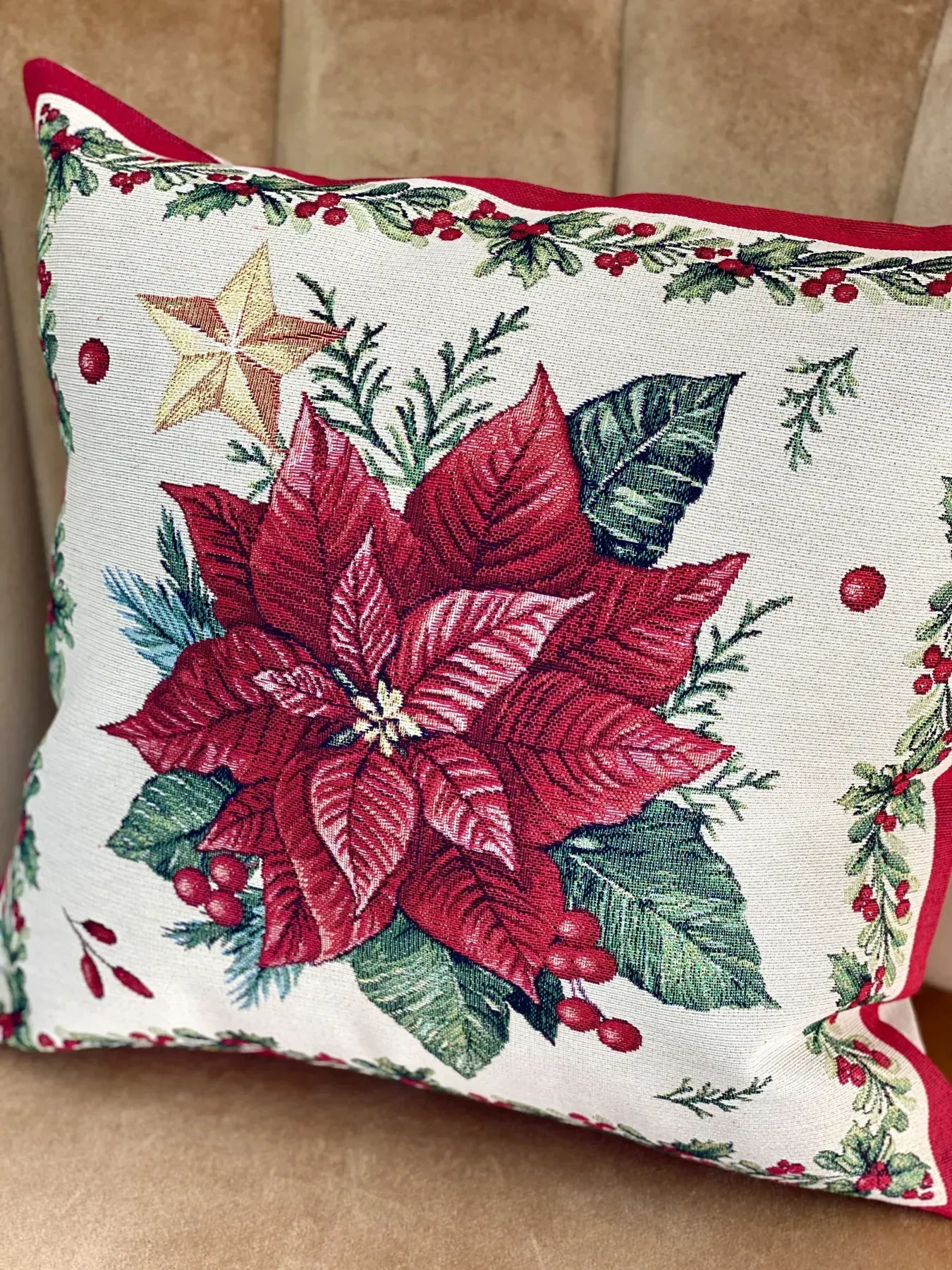 Наволочка гобеленова одностороння ARDINA-NV Limaso